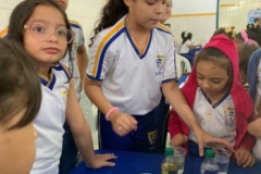 IMG-20240809-WA0047